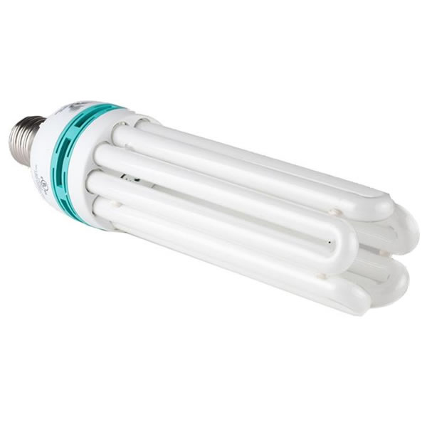 125 CFL Light Bulb #5613220
