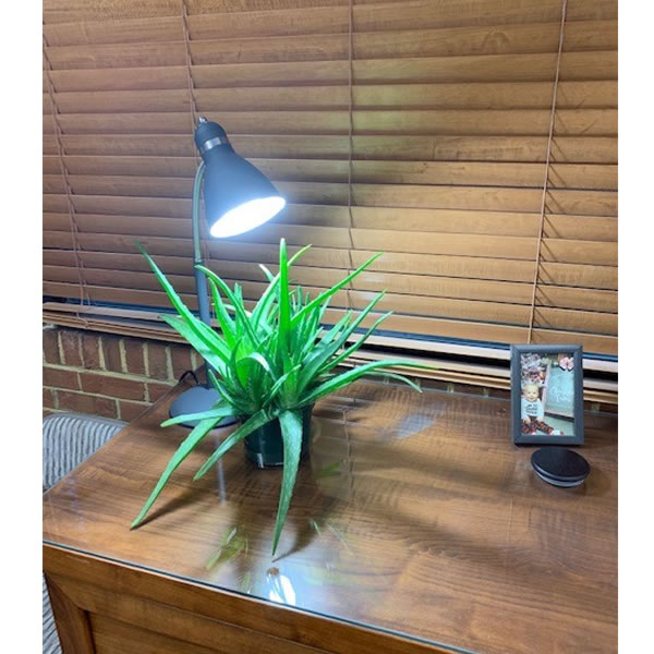 table top plant grow light